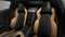 2027 Chevrolet Corvette Stingray 3LT