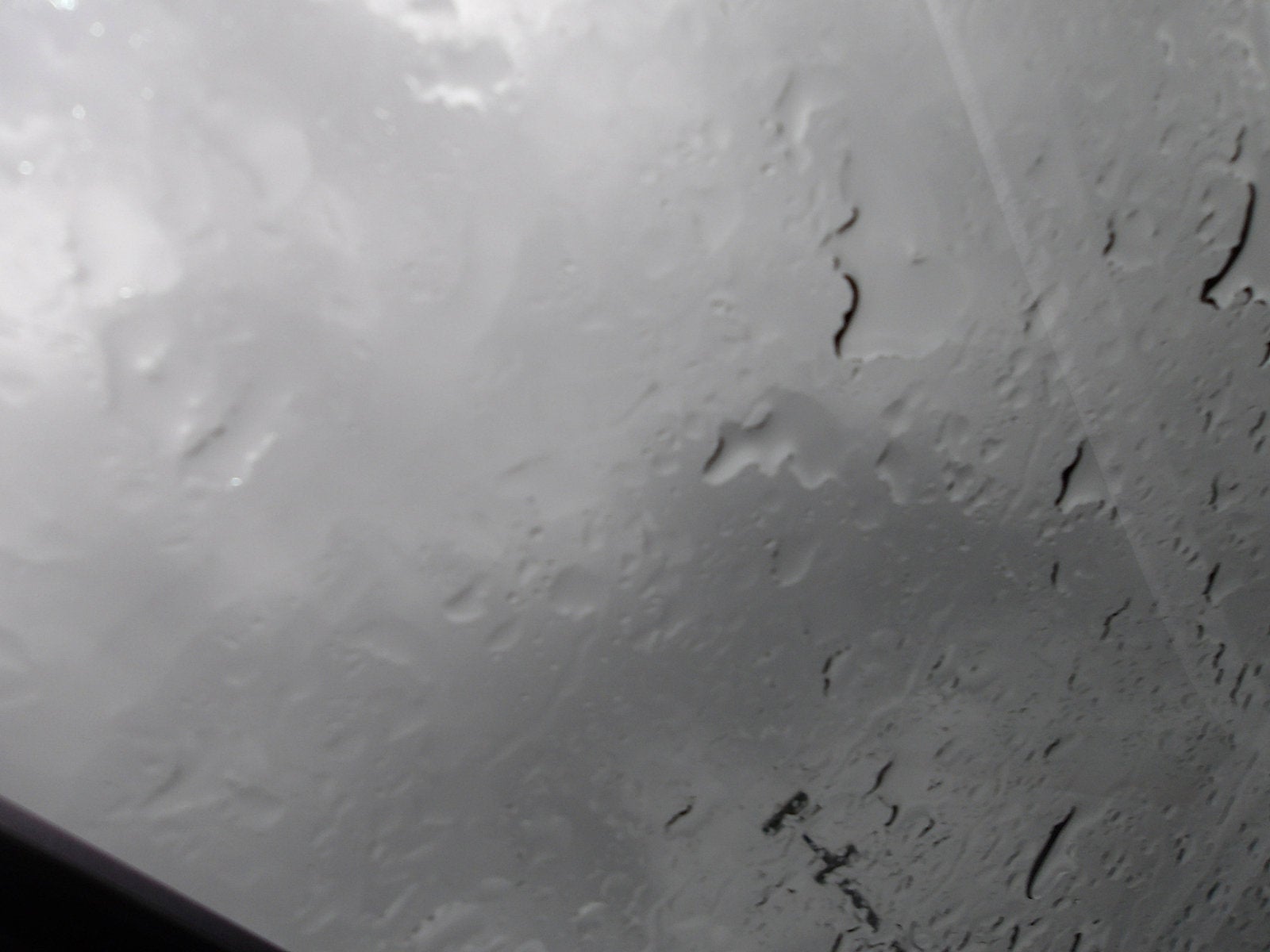 2022 Kia Niro EX Premium